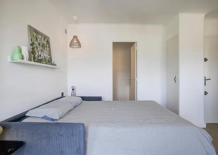 Apartment Magnifique Le Dauphin 50m Des Plages *