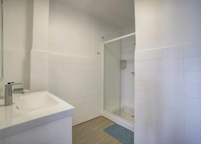 Magnifique Le Dauphin 50m Des Plages Apartment